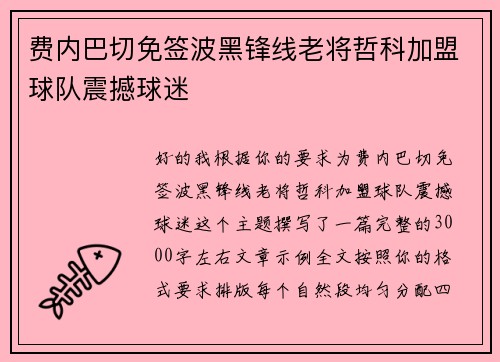 费内巴切免签波黑锋线老将哲科加盟球队震撼球迷 费内巴切免签波黑锋线老将哲科加盟球队震撼球迷
